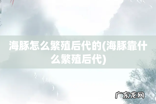 海豚靠什么繁殖后代 海豚怎么繁殖后代的