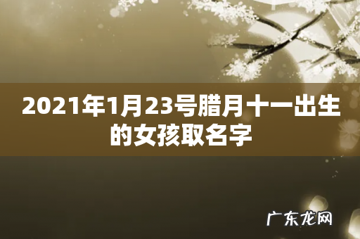 2021年1月23号腊月十一出生的女孩取名字