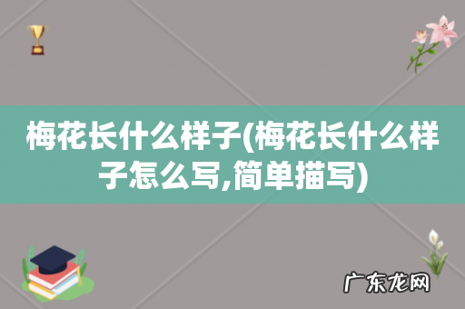 梅花长什么样子怎么写,简单描写 梅花长什么样子