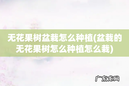 盆栽的无花果树怎么种植怎么栽 无花果树盆栽怎么种植