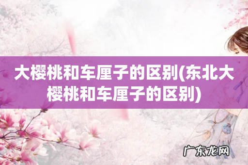 东北大樱桃和车厘子的区别 大樱桃和车厘子的区别