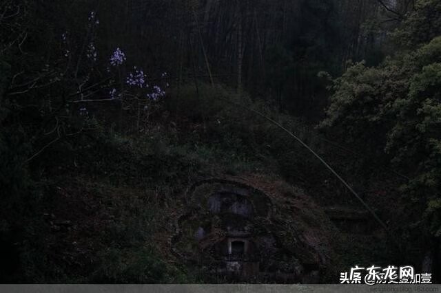 名墓风水落地桃花 桃花墓什么意思