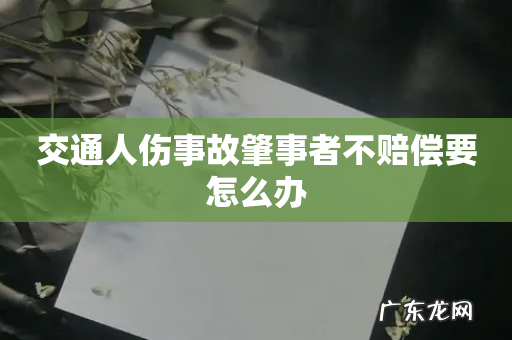 交通人伤事故肇事者不赔偿要怎么办