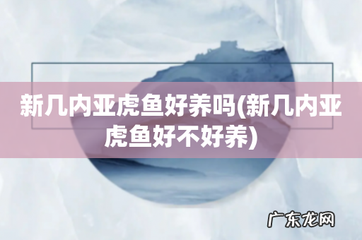 新几内亚虎鱼好不好养 新几内亚虎鱼好养吗