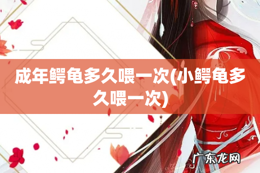 小鳄龟多久喂一次 成年鳄龟多久喂一次