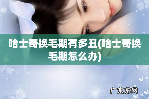 哈士奇换毛期怎么办 哈士奇换毛期有多丑