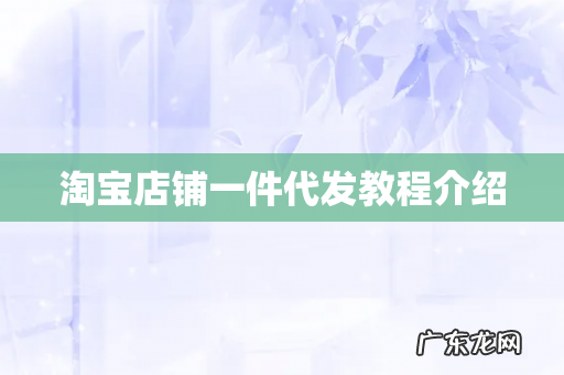 淘宝店铺一件代发教程介绍