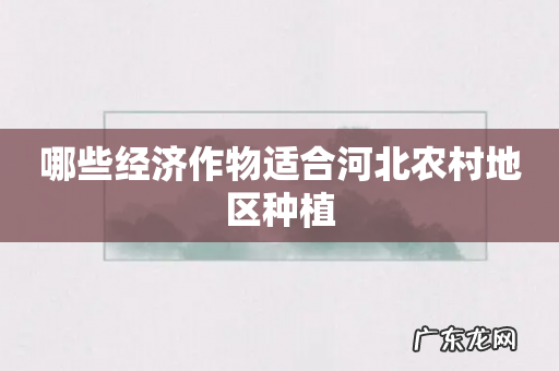 哪些经济作物适合河北农村地区种植