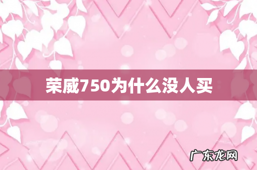 荣威750为什么没人买
