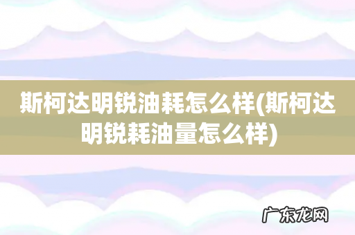 斯柯达明锐耗油量怎么样 斯柯达明锐油耗怎么样