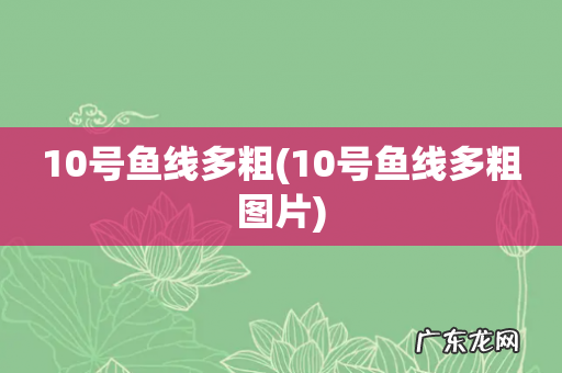 10号鱼线多粗图片 10号鱼线多粗