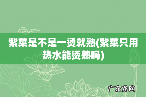 紫菜只用热水能烫熟吗 紫菜是不是一烫就熟