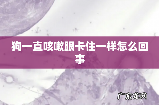 狗一直咳嗽跟卡住一样怎么回事