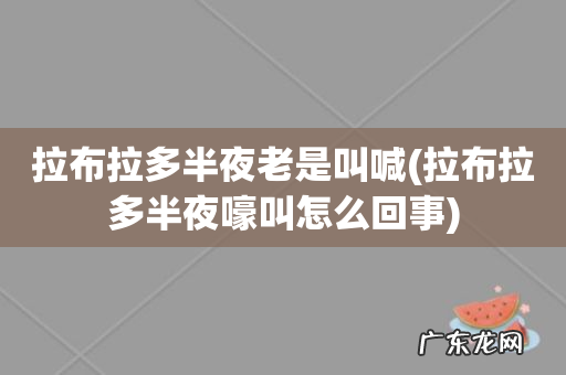 拉布拉多半夜嚎叫怎么回事 拉布拉多半夜老是叫喊