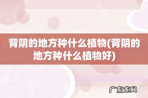 背阴的地方种什么植物好 背阴的地方种什么植物
