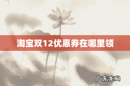 淘宝双12优惠券在哪里领