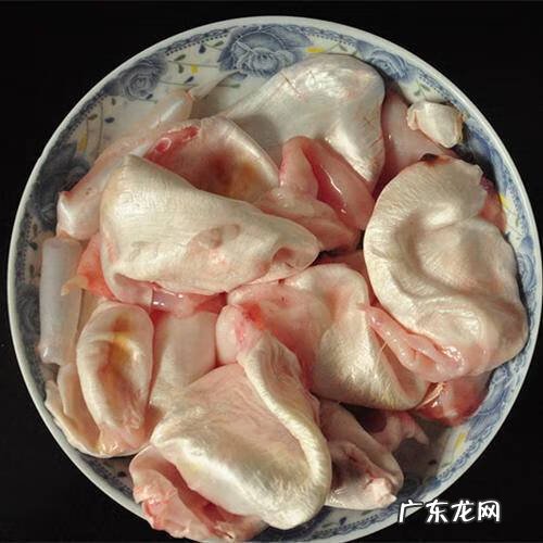 爆炒鱼肚 鱼肚是什么