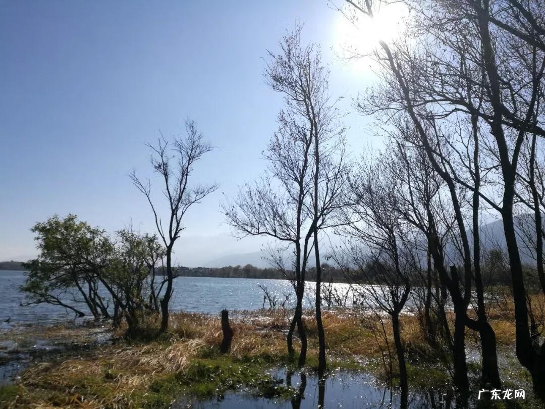 冬天适合去哪个地方旅游 冬天去哪里旅游好?