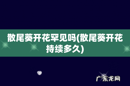 散尾葵开花持续多久 散尾葵开花罕见吗