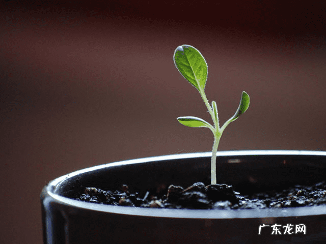 风水轮流转谁说的 风水轮流转有原则有定力