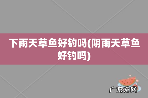 阴雨天草鱼好钓吗 下雨天草鱼好钓吗