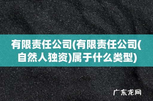 有限责任公司(自然人独资 有限责任公司属于什么类型)