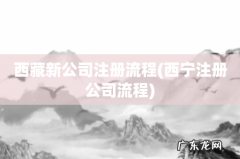 西宁注册公司流程 西藏新公司注册流程