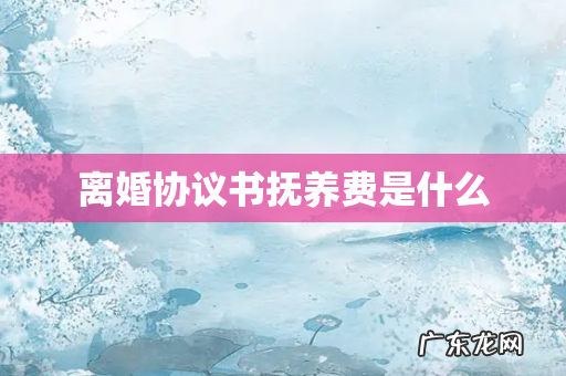 离婚协议书抚养费是什么