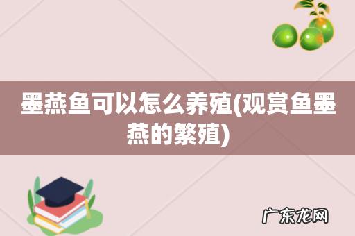 观赏鱼墨燕的繁殖 墨燕鱼可以怎么养殖