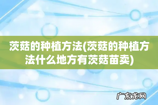 茨菇的种植方法什么地方有茨菇苗卖 茨菇的种植方法