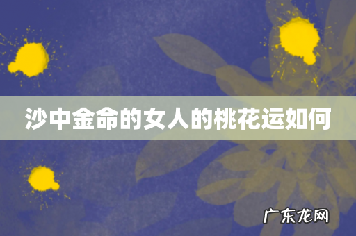 沙中金命的女人的桃花运如何