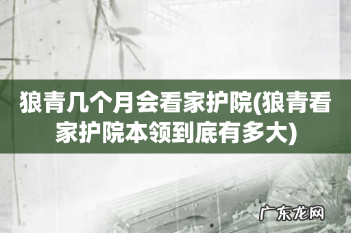 狼青看家护院本领到底有多大 狼青几个月会看家护院