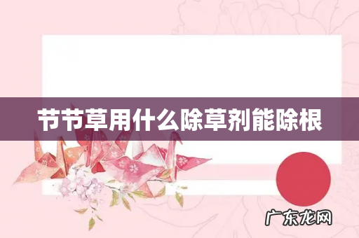 节节草用什么除草剂能除根