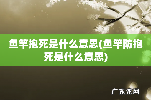 鱼竿防抱死是什么意思 鱼竿抱死是什么意思