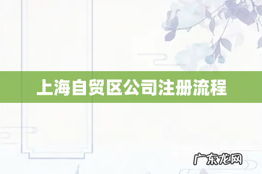 上海自贸区公司注册流程