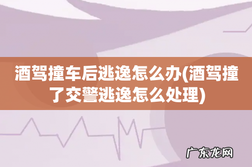 酒驾撞了交警逃逸怎么处理 酒驾撞车后逃逸怎么办