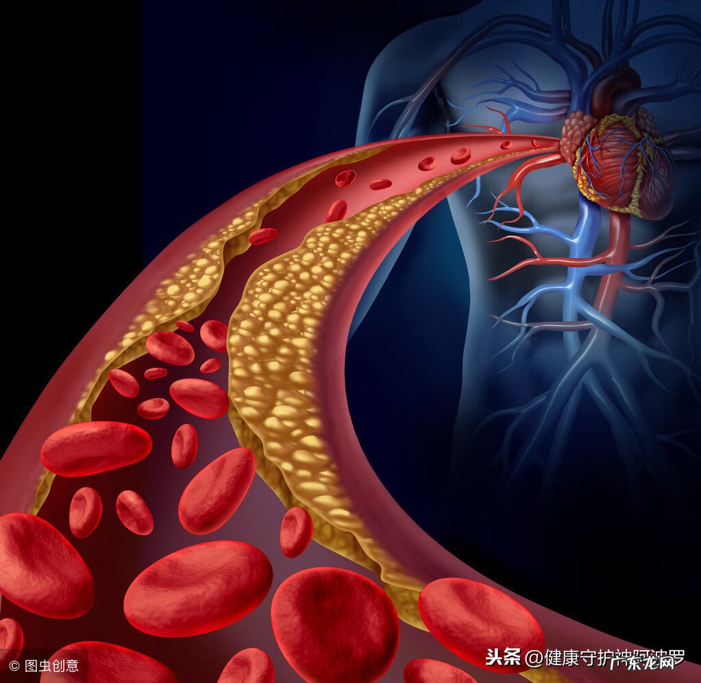 深海鱼油的功效与禁忌 深海鱼油的功效与作用及禁忌