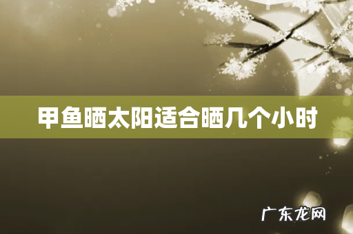 甲鱼晒太阳适合晒几个小时