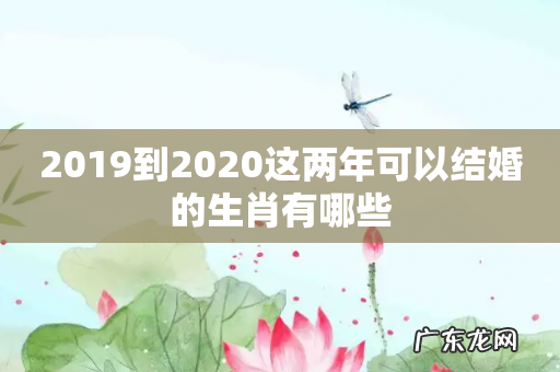 2019到2020这两年可以结婚的生肖有哪些