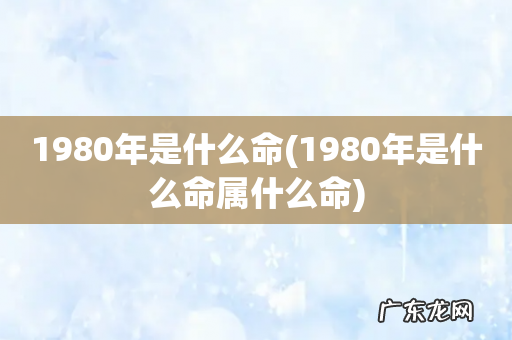 1980年是什么命属什么命 1980年是什么命