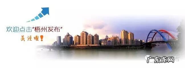 广西南宁风水宝地信息一览表 苍梧县沙头镇大平村风水宝地