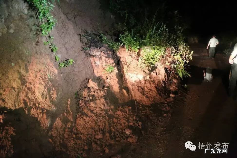 广西南宁风水宝地信息一览表 苍梧县沙头镇大平村风水宝地