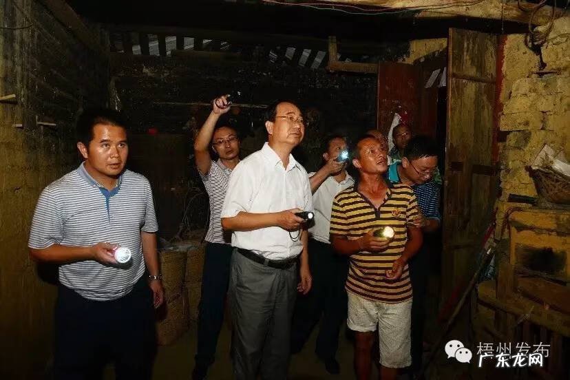 广西南宁风水宝地信息一览表 苍梧县沙头镇大平村风水宝地