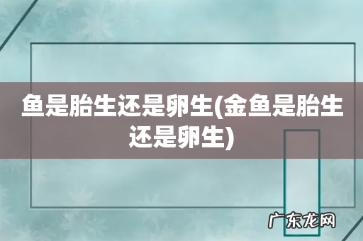 金鱼是胎生还是卵生 鱼是胎生还是卵生