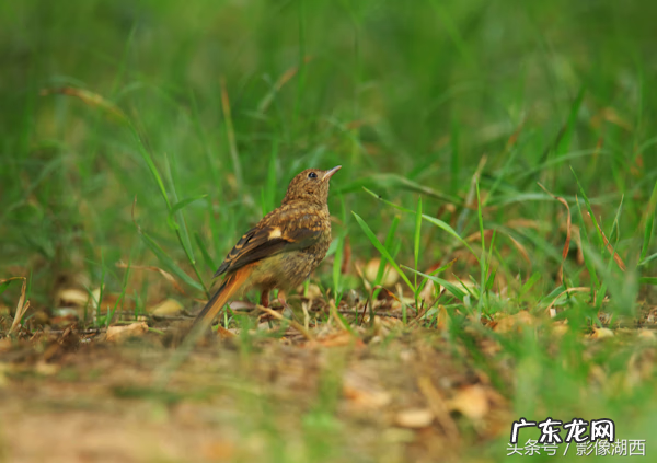 单县舜师名园 单县舜和雅苑哪个街道