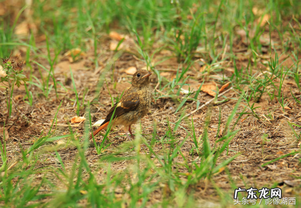 单县舜师名园 单县舜和雅苑哪个街道