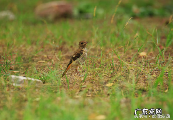 单县舜师名园 单县舜和雅苑哪个街道