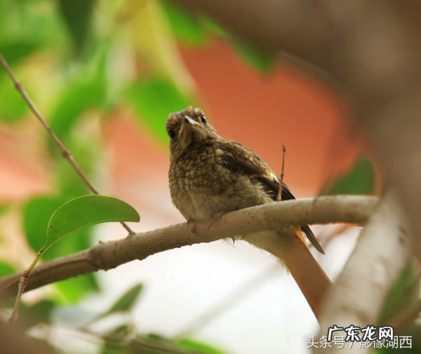 单县舜师名园 单县舜和雅苑哪个街道