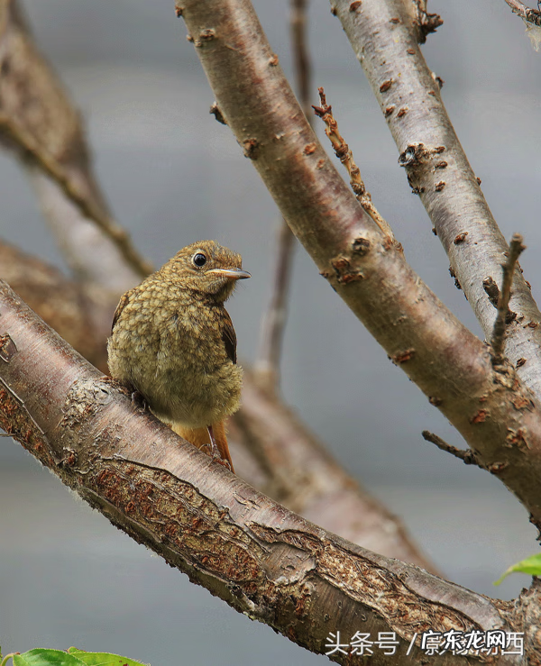 单县舜师名园 单县舜和雅苑哪个街道