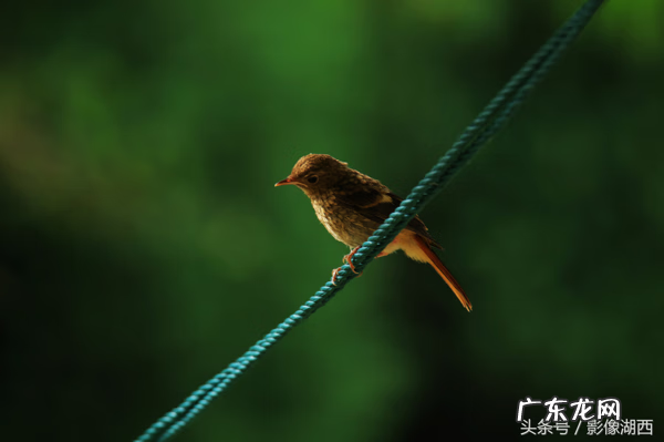 单县舜师名园 单县舜和雅苑哪个街道